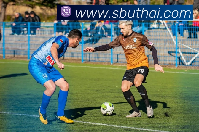 体育赛事